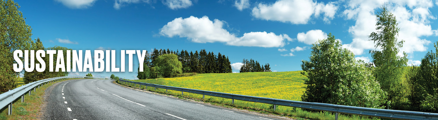 landscape picture showing green land, clean road and unpolluted sky